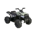 Електромобілі, квадроцикли