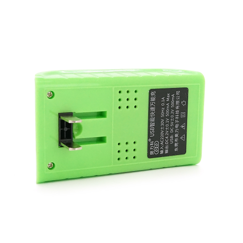 Універсальний зарядний пристрій Aoleaky 4.2V 0.5A,220V, Green, Box