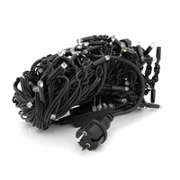 Гірлянда бахромою 120 LED White, чорна ізоляція, вулична, 5х0,7м, BOX