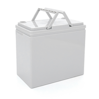 Корпус для акумуляторної батареї NP12v55ah, без клем (225x135x210)