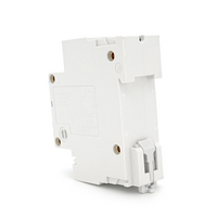 Автоматичний вимикач постійного струму CHCYZO RKB1 / DC-B100, 1P, 100A, 12-125V