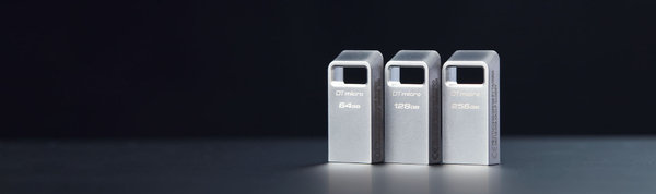 Флеш-накопитель USB3.2 256GB Kingston DataTraveler Micro (DTMC3G2/256GB)