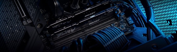 Пам'ять ПК Kingston DDR5 32GB KIT (16GBx2) 5200 FURY Beast  EXPO