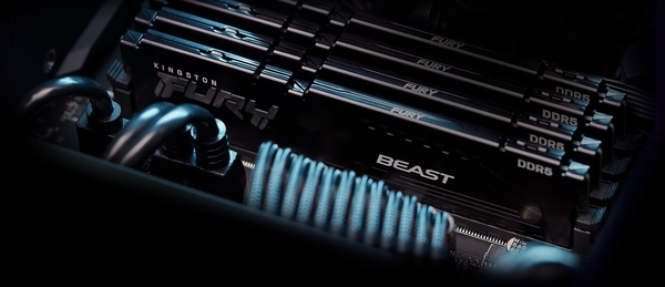 Пам'ять ПК Kingston DDR5 32GB KIT (16GBx2) 5200 FURY Beast  EXPO