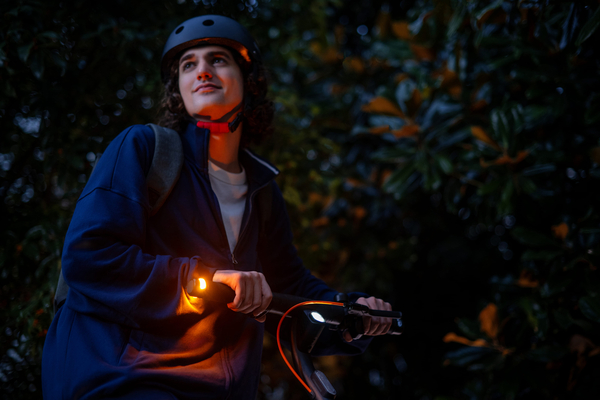Електросамокат Segway-Ninebot E2 PRO E, чорний