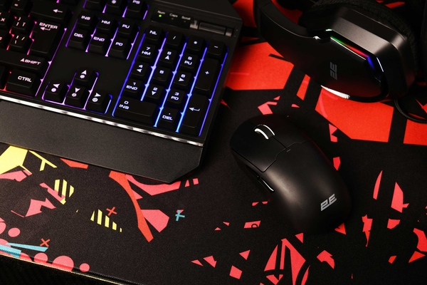 2E Gaming Миша MG355 WL, RGB, USB-A/WL, чорний