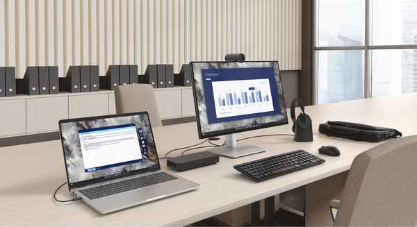 Ноутбук Dell Pro 16 Plus (BTO108PB16250UA_UBU) Silver