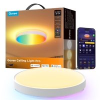 Потолочний світильник Govee 38cm Smart Ceiling Light Pro, RGBICWW, WI-FI/Bluetooth, білий