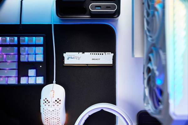 Пам'ять ПК Kingston DDR5 16GB 6400 FURY Beast EXPO Білий