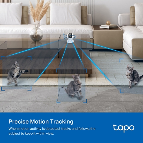 IP-Камера TP-LINK Tapo C232 5MP N300 microSD motion detection. AI