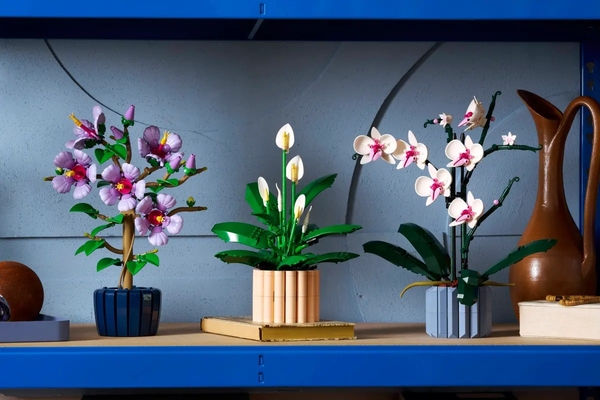 Набір китайського чорного чаю Phoenix Puer, 2 x 357g, ціна за упаковку, Q1