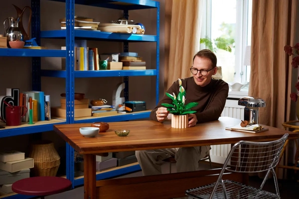 Набір китайського чорного чаю Phoenix Puer, 2 x 357g, ціна за упаковку, Q1