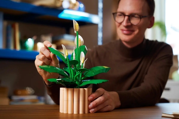 Набір китайського чорного чаю Phoenix Puer, 2 x 357g, ціна за упаковку, Q1