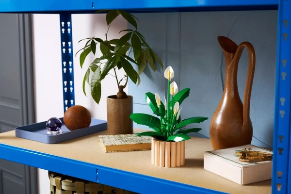 Набір китайського чорного чаю Phoenix Puer, 2 x 357g, ціна за упаковку, Q1