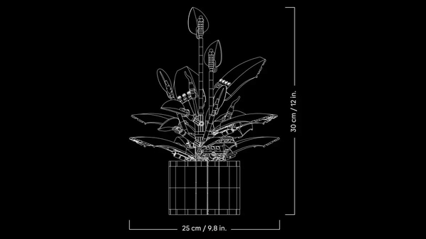 Набір китайського чорного чаю Phoenix Puer, 2 x 357g, ціна за упаковку, Q1