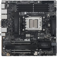 Материнcька плата ASUS PRO WS B850M-ACE SE sAM5 B850 4xDDR5 M.2 HDMI DP D-Sub USB Type-C mATX