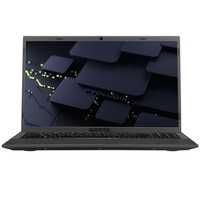 Ноутбук Prologix M15-725 (PLN725.I312.8.S1.WP11E.004) Dark Grey