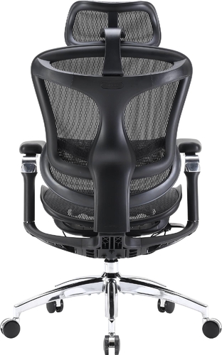 Кресло офисное Sihoo Doro C300 Pro Mesh Black (DORO-C300-PRO-M101)