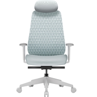 Кресло офисное OfficePro Omnis OC640G