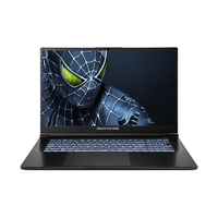 Ноутбук Dream Machines RG5050-17 (RG5050-17UA24) Black