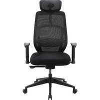 Кресло для геймеров AeroCool SKY Lite Mesh Black (TEGC-3106101.11)
