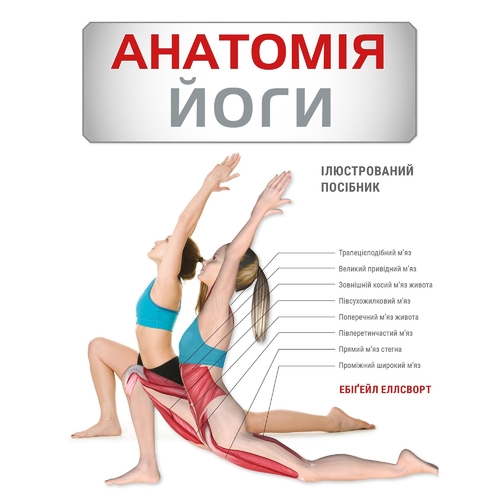 Анатомия йоги. Иллюстрированное пособие / Эбигейл Эллсворт